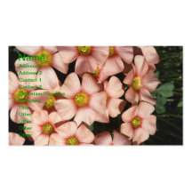 Oxalis, fleurs de bois-oseille modèles de cartes de visite