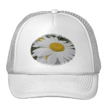 Oxeye Daisy Wildflower Floral Items Hats