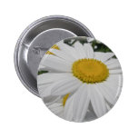 Oxeye Daisy Wildflower Floral Items Pinback Button