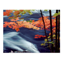 Oxtongue River, Ontario, Canada Postcard