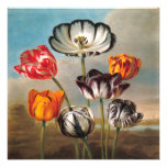 Oxygentees Flora Invitation