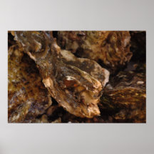 oysters print