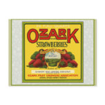 Ozark Strawberries Post Card