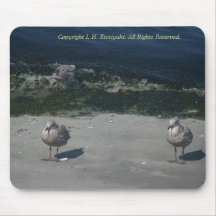 P3468-2 Gulls Mouse Pad