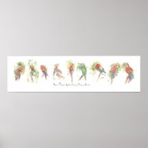P3, Nine Parrots, Watercolor by Dennis Boyce Poster