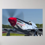 P51 posters