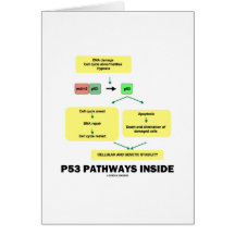 P53 Pathways Inside (Cell Molecular Biology) Card