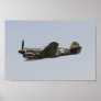 P-40 Warhawk Poster