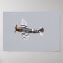 P-47 Thunderbolt Print