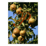 P in a Pear Tree Christmas Card