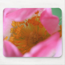 © P Wherrell Stylish dreamy dog rose pink flower Mousepads