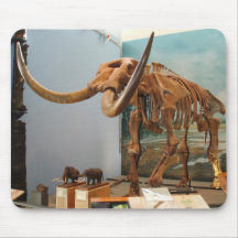 PA060025 MOUSE MATS