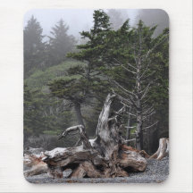 Pacific Coastline Rainforest Mousepads