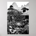 Pacific Intertidal posters