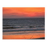 Pacific Ocean Postcards