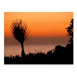 Pacific Ocean Sunset Postcard