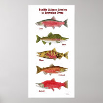 Pacific Salmon Species Art Poster