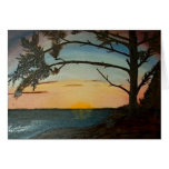 Pacific Sunset Wikininnish Island BC Card