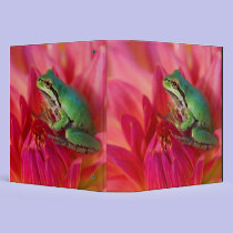 Pacific tree frog on flowers in our garden, 4 binders