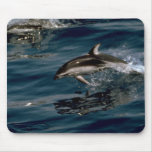 Pacific white-sided dolphin mousepads
