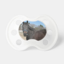 Pacifier QPC Template - Customized