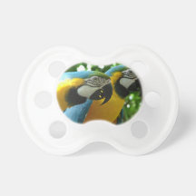 Pacifier QPC Template - Customized