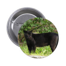 Pacing Panther Pin