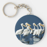 Pack of Pelicans in the Water Keychains