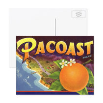 Pacoast Oranges, Vintage Fruit Crate Label Art Post Card
