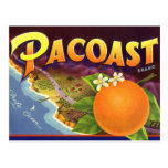Pacoast Oranges, Vintage Fruit Crate Label Art Post Card