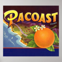 Pacoast Oranges, Vintage Fruit Crate Label Art Poster