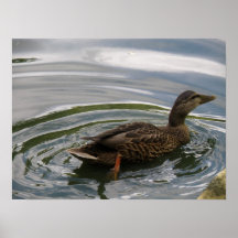 Paddle Power Duck Print