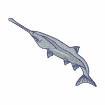 Paddlefish Polo Shirt
