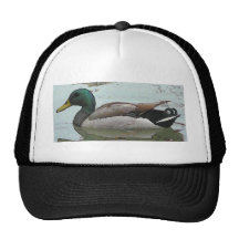 Paddling Duck Trucker Hat