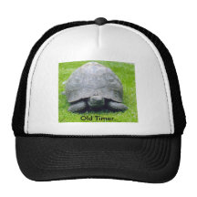 Paddy the tortoise., Old Timer. Mesh Hats