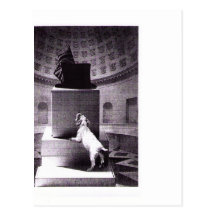 Page 11 carte postale