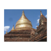Pagoda Post Card