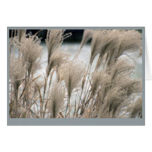 Paille en hiver, calendrier 2011 cartes de vœux