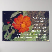 Pain and Risk - Anais Nin - poster