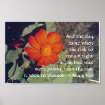 Pain and Risk - Anais Nin - poster
