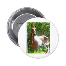 Paint Bath Pinback Button