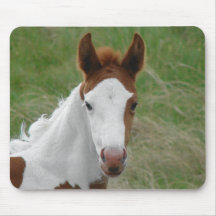Paint Filly Mouse Mats