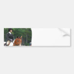 Paint Horse at Show Bumper Sticker