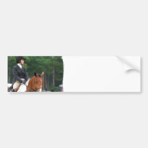 Paint Horse at Show Bumper Sticker