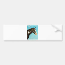 Paint Horse Bumper Sticker
