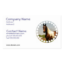 Paint Horse Business Card