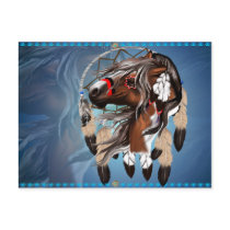 Paint Horse Dreamcatcher Postcard