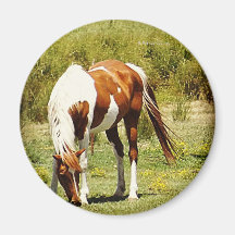 Paint Horse Fridge Magnet