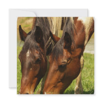 Paint Horse Love  Invitations