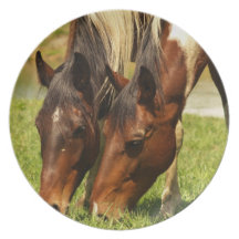 Paint Horse Love Plate